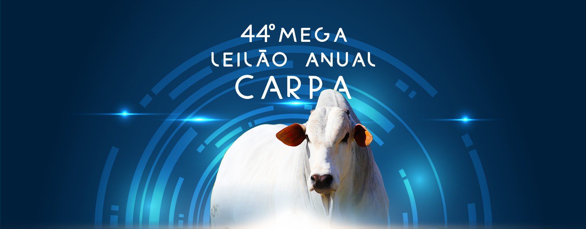 Tudo sobre Lance Rural