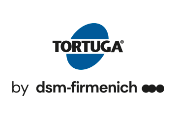 tortuga